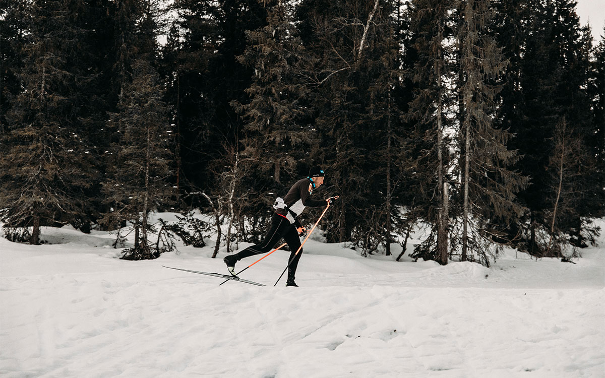 Emil Iversen går på langrennski i skiløype